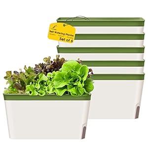 GardenBasix Self Watering Planter Pots Window Box for Indoor Plants Home Garden Modern Decorative Flower Pot for All House Herbs Succulents Set of 6 (6, Green(Rectangle)) GardenBasix Self Watering Planter Pots Window Box for Indoor Plants Home Garden Modern Decorative Flower Pot for All House Herbs Succulents Set of 6 (6, Green(Rectangle))