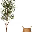 6FT Artificial Olive Tree Indoor, Tall Faux Olive Tree with Pot&Basket, Large Fake Olive Tree with Realistic 1080 Silk Leaves and 60 Fruits for Living Room Home Office Decor.