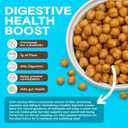 BIENA Chickpea Snacks - Crunchy Roasted Chickpeas - High Fiber Vegan Protein Snacks for Adults and Kids - 10-Pack, 1.2 Ounce Bags - Sea Salt (EXP 03/16/27)