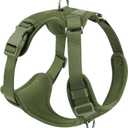 No Pull Dog Harness for Small Medium Large Dogs - Adjustable 2 Layer Mesh Dog Vest with Dual Clip, Escape Proof, Quick Release, Lightweight Breathable Mesh for Walking Hiking (Misty Green, Medium)