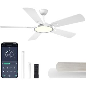 OJX Ceiling Fans with Lights, 52 inch Ceiling fan with Light and Remote/APP Control, 3CCT, Quiet DC Reversible, Dimmable, Modern Black Ceiling Fa for Bedroom, Living Room, Kitchen, Indoor/Outdoor Use