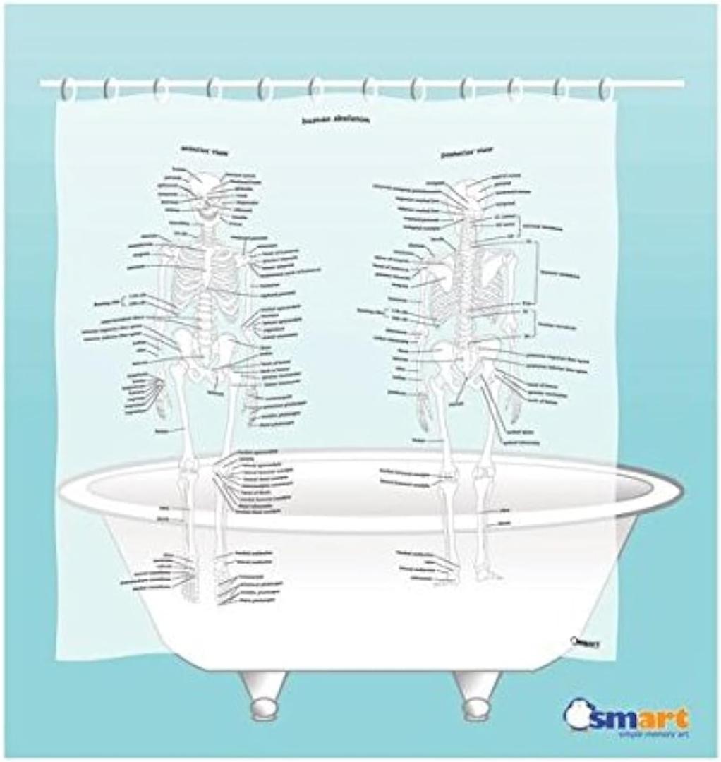 Human Skeleton Shower Curtain - EVA Vinyl, 71" x 71"