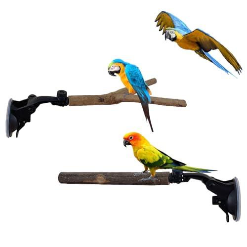2 PCS Natural Wood Bird Perch with Suction Cup Parrot Shower and Window Perch Stand Bird Portable Suction Cup Shower Perch for Parrot Parakeet Cockatiel Conure Budgie Lovebirds
