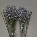 Elyum Babys Breath Artificial Flowers, 12 Pcs Long Stem Baby Breath Flowers Artificial Bulk, Real Touch Blue Fake Babys Breath Gypsophila for Wedding Bouquet Floral Arrangement Home Decor
