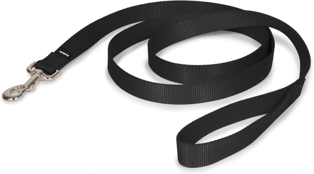 PetSafe Nylon Dog Leash  Strong, Durable, Traditional Style Leash with Easy to Use Bolt Snap for Small, Medium and Large Dogs  1" x 6', Black