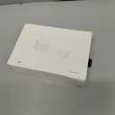 Blissy Silk Pillowcase - 100% Pure Mulberry Silk - 22 Momme 6A High-Grade Fibers - Silk Pillow Cover for Hair & Skin - Regular, Queen & King (Blissy White, Standard)