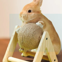 Rabbit Scratching Ball Wooden Rack Durable for Rabbits Small Animals Ferrets, Count of 3