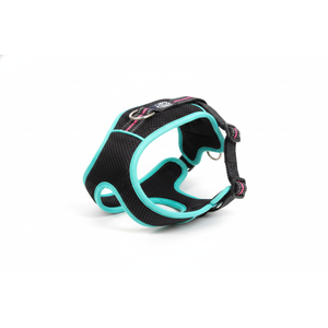 Rabbitgoo Dog Harness No Pull with 2 Leash Clips, Adjustable Soft Padded, Reflective Oxford No Choke Pet Vest with Easy Control Handle for Large Dogs, M