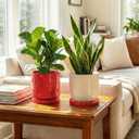 2 x Eightpot 2 Pack Plant Plates to Catch Water, Plant Trays for Pots Indoor Outdoors, 7.5 Inch Plants Water Catcher Tray, Round Flower Pot Saucers, Modern Decorative Dishes to Catch Water, Red