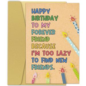 Funny Birthday Card for Best Friend, Humorous Friendship Card for Women Men, Bestie Gift for Her Him Sister, Too Lazy To Find New Friends, 8 x 5.3 inches / 20.5 x 13.5 cm