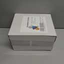 8 FT Polar Bear Hanukkah Inflatable Decoration with LED Lights for Holiday Celebration Decorations on Yard, Lawn and Patio