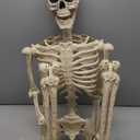 5.4Ft/170cm Posable Halloween Skeleton, Full Body Life Size Skeleton with Movable Joints for Indoor Outdoor Halloween Decorations, Spooky Party Props Decor 1Pcs
