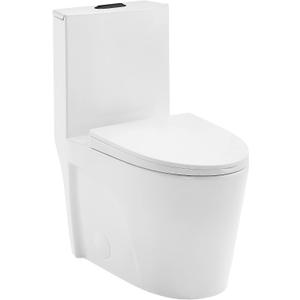 St. Tropez One Piece Elongated Toilet Dual Vortex Flush, Black Hardware