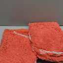 MIULEE Set of 2 Non Slip Shaggy Bathroom Rugs Extra Thick Soft Bath Mats Plush Microfiber Absorbent Water for Tub Shower Machine Washable, Valentines Day Decor (Coral, 16x24 Inches)