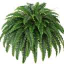 Single Silky Artificial Boston Fern Bush, 43Inch Large Artificial Ferns for Outdoors, Large Faux Ferns Artificial Plants,Suitable for Decorating Office, Living Room Faux Greenery,69Branches (1 Pcs 43"- 69 Leaves)