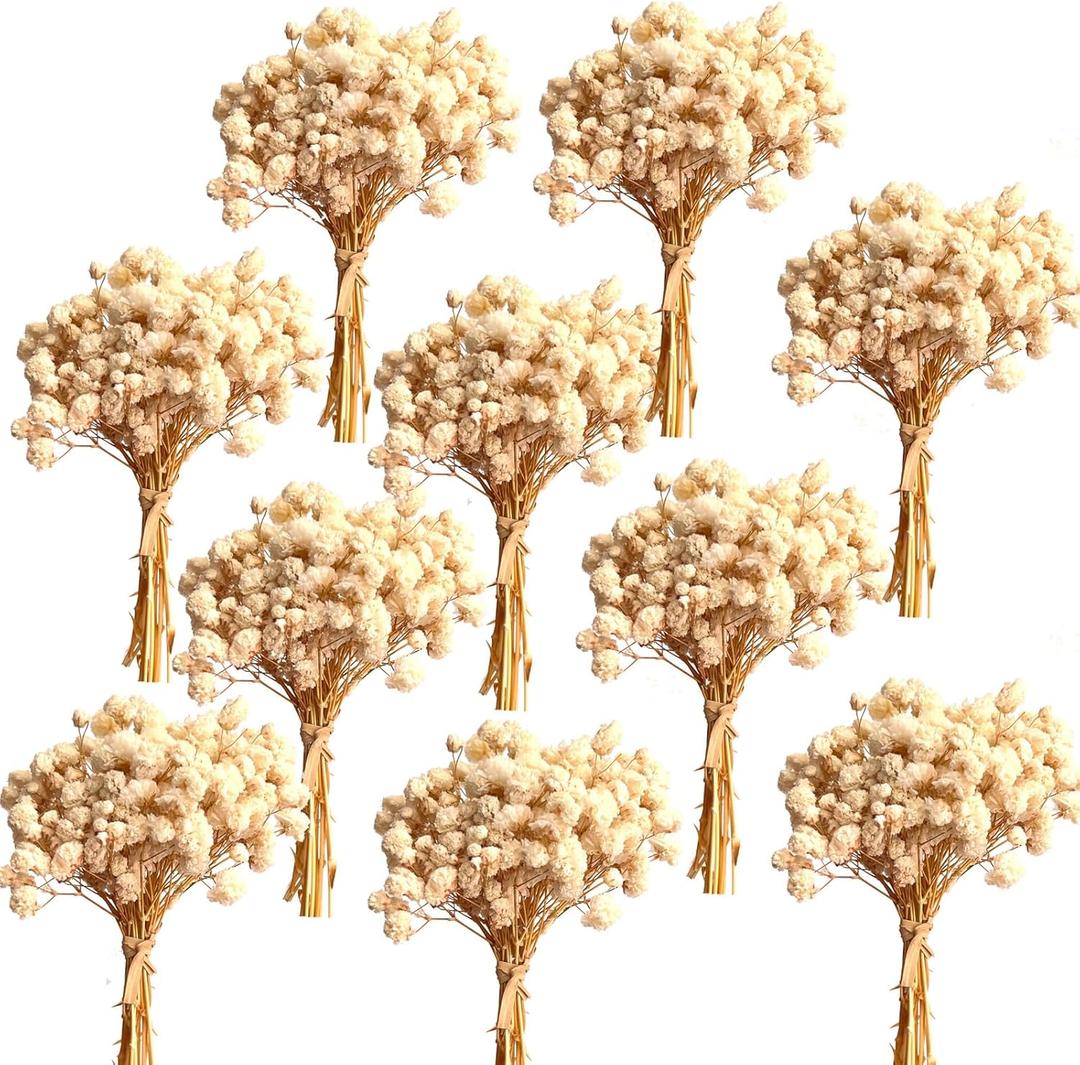 100+Pcs Mini Dried Babys Breath Flowers, 5600+ Multiple White Baby Breath Flowers Bulk, Dried Flower for Candle Making Invitation Resin Crafts, Gypsophila for Christmas Wedding Decor
