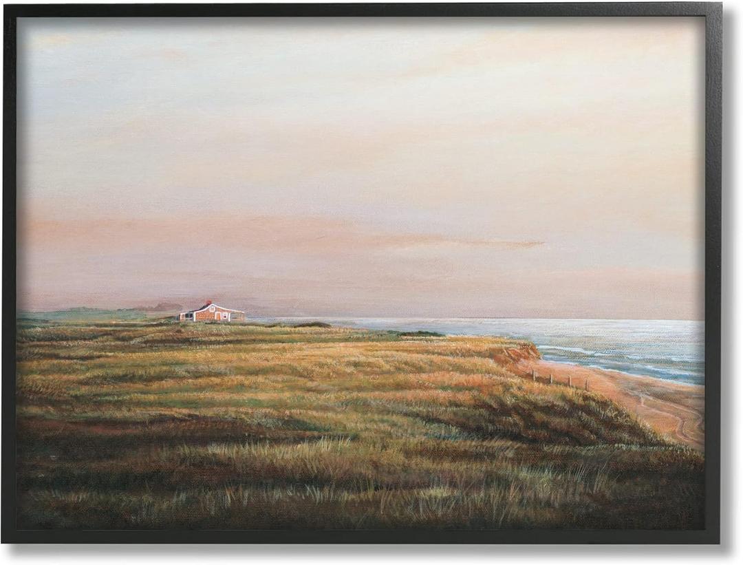 Stupell Industries Distant Seaside Cottage Rural Beach Ocean View Framed Wall Art, Design By Tom Mielko (20L" x 1.5W", Black Framed)