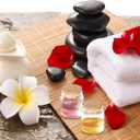 24 Pack 1.7 Oz Glass Bottles with Cork Stoppers,50 ML Mini Small Glass Bottles for Wedding Favors, Crafts Home Decorations, Party Favors