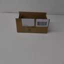 Wind - Up Dinosaur (Pack of 6)