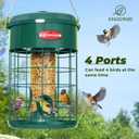 Kingsyard Upgraded Metal Squirrel Proof Caged Bird Feeder for Outdoor Hanging, 4 LBS Large Capacity Tube Bird Feeder with 4 Feeding Ports & Perches, Weatherproof Seed Tray, Green