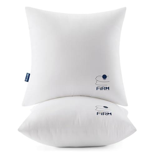 MIULEE 20x20 Throw Pillow Inserts Set of 2, Decorative Throw Pillows for Couch Sofa Bed, 100% Virgin Fiber Filling