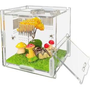 Jumping Spider Enclosure, 4" X 4" X 4" Acrylic Spider Habitat, Front Opening Small Reptile Terrarium with Matrix Ventilation Holes & Feeding Holes, for Jumping Spider Snail Insect