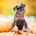 PTDECOR Thanksgiving Dog Collar with Bowtie Adjustable Pink Turkey Collars Thanksgiving Collars for Small Dogs Pets (Small) (Neck 10"-14", Width 0.6")