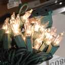 PREXTEX 100 Count Clear Christmas Lights - 20 ft Ultra Bright String Lights with Green Wire for Indoor and Outdoor Use, Christmas Trees, Holidays, Patios and Garden