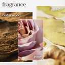 Pureology Color Fanatic Multi-Tasking Leave-In Spray, 21 Benefits for All Hair Types, Heat Protection, Detangling & Frizz Control, Infused with Coconut & Camellia Oils, Color Safe, Vegan