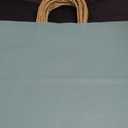 qiqee 100Pcs Wide Large Paper Gift Bags with Handles - 13"x4.5"x10" Kraft Small Party Bags - 16 Solid Colors