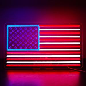 USA Neon Signs for Wall DecorLed Neon Light for Man CaveBedroomGarageChristmas Birthday Party Gifts, 16.1 Inches X 9.5 Inches