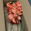 DILATATA 6PCS 32" Artificial Orchid Stems Rustic Butterfly Orchid Faux Phalaenopsis Flowers for Home Wedding Centerpieces Office Table Decorations Real Touch Silk Orchids for DIY Floral Arrangements (Cream Yellow)