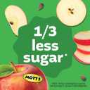 Mott's No Sugar Added Applesauce Variety Pack, Cinnamon and Apple, Made from Real Fruit, No Artificial Flavors, 3.2 Oz Clear Pouches, 20 Pack