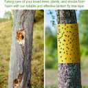 4 Rolls 260ft Lantern Fly Tree Tape Outdoor Adhesive Crawling Insect Trap Yellow Sticky Traps Sticky Barrier Protecting Trees Outdoor Indoor Fruit Tree Lawn Garden Control Aphids Ant Moth
