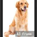 RUN HELIX A3 Picture Frame Black for Wall Hanging, Wall Mounting Horizontally or Vertically, 11.7 x 16.5 inch Wall Gallery Poster Photo Frame with Durable Shatter Resistant Plexiglass, Black