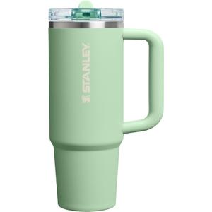 STANLEY Quencher ProTour Flip Straw Tumbler with Leakproof Lid | Built-In Straw & Handle | Cupholder Compatible for Travel | Insulated Stainless Steel Cup | BPA-Free (30 Ounces, Pistachio)