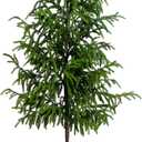 Nearly Natural 4ft. Artificial Norfolk Pine Tree