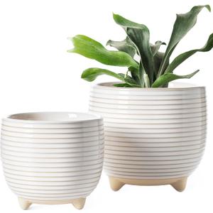LE TAUCI Ceramic Plant Pots, 5.1 + 6.4 Inch Footed Pots for Plants, Modern Flower Pots for Home and Office, Indoor Planters with Drainage, Reactive Glaze White