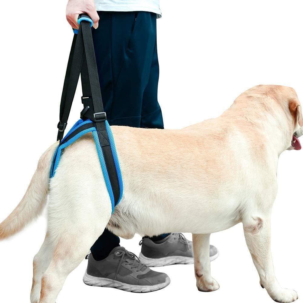 Dog Lift Support Harness - Dog Lift Harness for Back Legs Weak Rear Legs, Adjustable Dogs Back Leg Hind Leg Hip Support Harness for Senior Dogs with Joint Injuries or Disabilities (X-Large)
