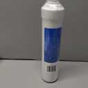 Watts RO Pure Carbon Filter | Blue Push Button Filter