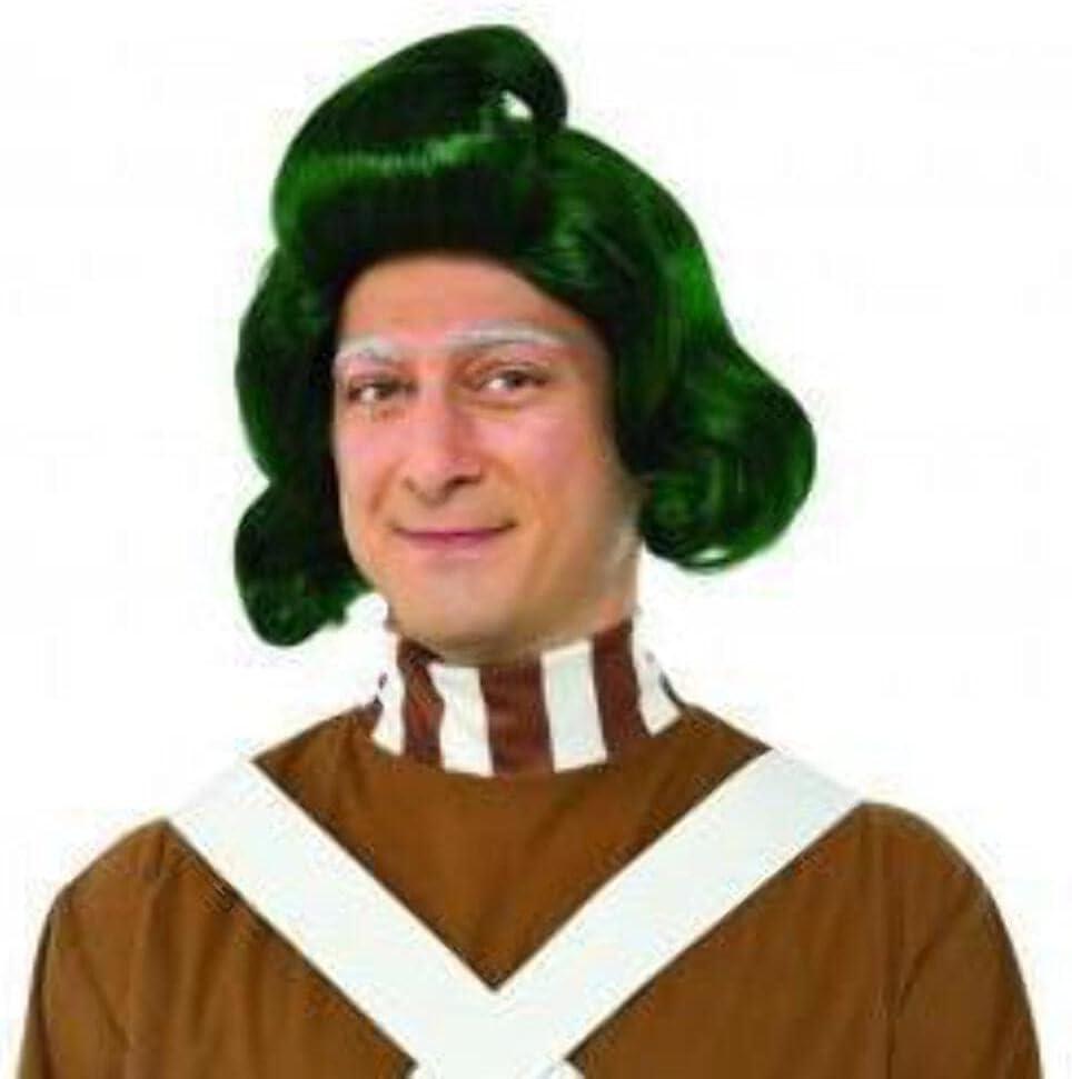 Rubies Willy Wonka and the Chocolate Factory: Oompa Loompa Wig for Adults, Men's No Size