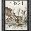 18x24 Black Antique Baroque Poster Frame, Tempered Glass, 1 Pack