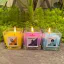 12 Constellations Premium Votive Scented Candles Set - 12 Unique Scents Including Lavender, Vanilla, Lemon & Mint, 100% Natural Soy, Non-Toxic, Small Candles for Aromatherapy, Gifts & Home Dcor