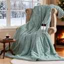 Heated Blanket 90"X100",Fast Heating Blanket with 6 Heat Levels 10 Hours Auto-Off Overheat Protection,Stripe Faux Rabbit Fur Soft Warm, ETL Certified (Green, 90"X100")