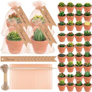 MTLEE 36 Pcs Succulent Candles Decorative Cactus Tealight Candle Tea Lights Handmade Baby Shower Decorations Plant with Mini Terracotta Clay Holders for Wedding Home Party Decor