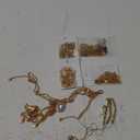 8 Pieces Gold Head Chains with Rhinestone Pearl Leaf Coin Festival Prom Wedding Bridal Jewelry Boho Headbands Tassel Forehead Chain Hair Bands Headwear Headpieces for Women Girls