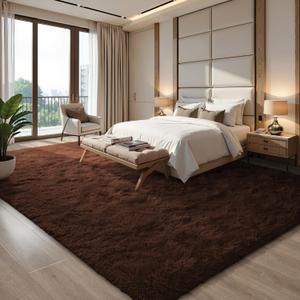 EVOIONOS 5x8 Washable Large Area Rug for Living Room, Fluffy Shag Rug for Bedroom, Ultra Soft Plush Non Slip Carpet for Indoor Floor Bedside Nursery Kids Girls Room Dorm, Home Decor Aesthetic, Coffee