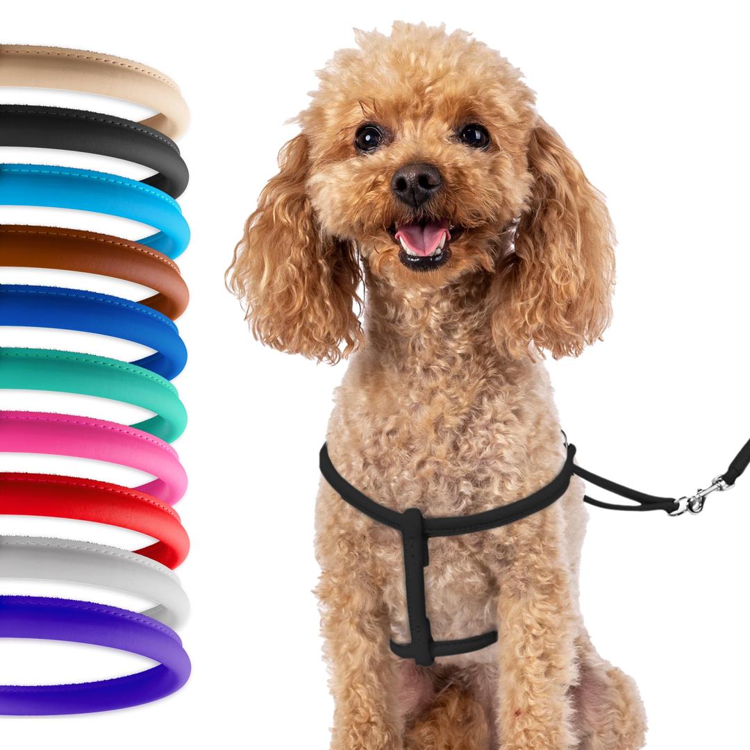 CollarDirect Rolled Leather Dog Harness Small Puppy Step-in Leash Set for Walking (Black, XS)