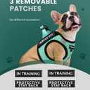 FAYOGOO Service Dog Vest Set for Small Dogs, Mesh Harness and Leash