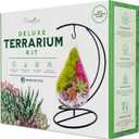 Creations by Nathalie 7" DIY Teardrop Terrarium Kit with Live Plants  Hanging Glass Planter with Stand for Adults & Kids  Build a Mini Ecosystem with Moss, Crystals, Tools  Made in The USA